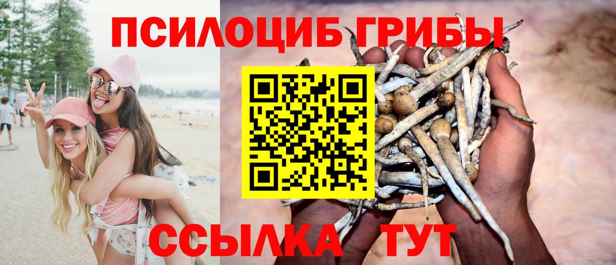 Псилоцибиновые грибы MAGIC MUSHROOMS Ливны